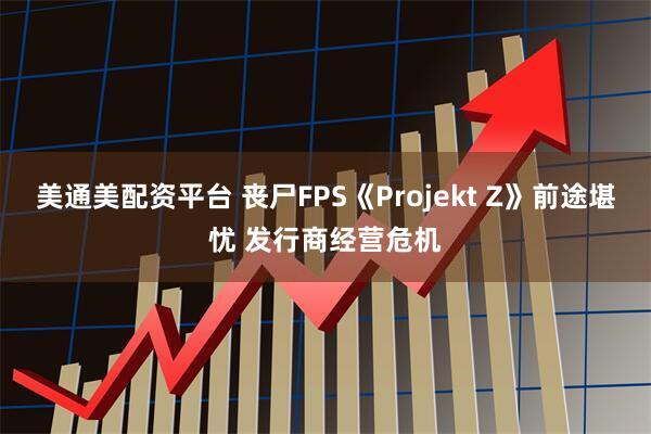 美通美配资平台 丧尸FPS《Projekt Z》前途堪忧 发行商经营危机